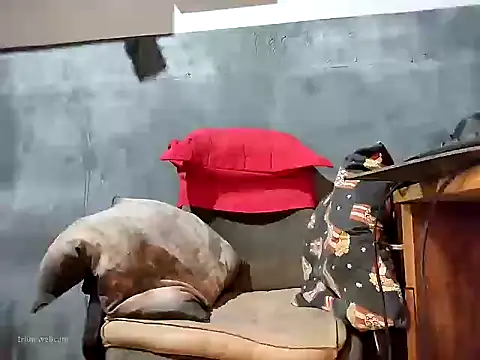 bumbumtatuado online show from January 13, 2:26 am