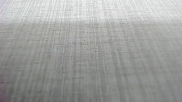 AishaRouhi online show from March 4, 5:15 am