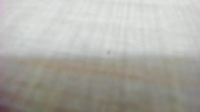 Snapshot of AishaRouhi chatting on February 14, 5:29 am AishaRouhi online show from February 14, 5:29 am