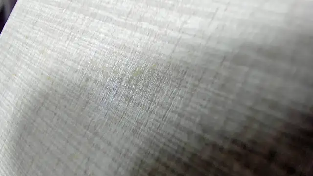 AishaRouhi online show from April 11, 3:58 am