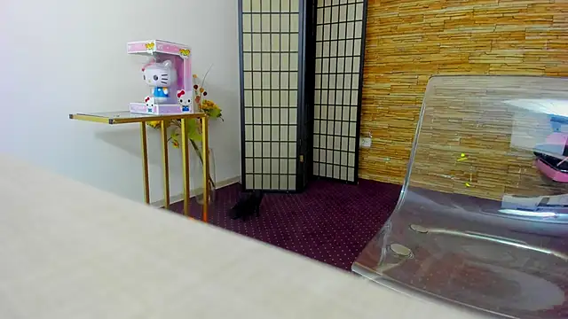 Snapshot of AishaRouhi chatting on December 17, 6:07 am AishaRouhi online show from December 17, 6:07 am