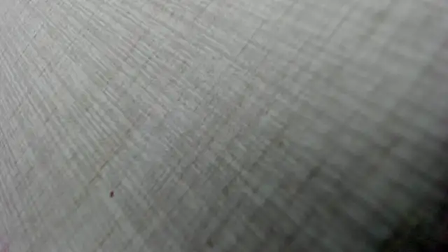 Snapshot of AishaRouhi chatting on February 3, 5:05 am AishaRouhi online show from February 3, 5:05 am