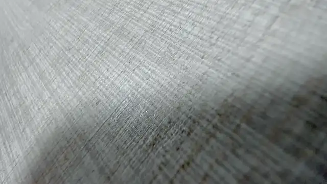 AishaRouhi online show from March 31, 4:14 am