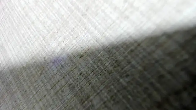 AishaRouhi online show from March 14, 4:40 am