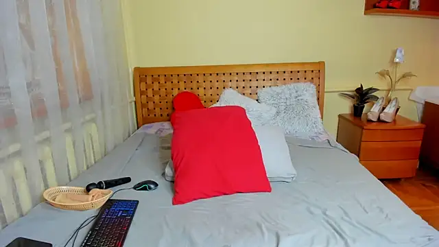 Moon  Eclipse online show from November 13, 7:45 am