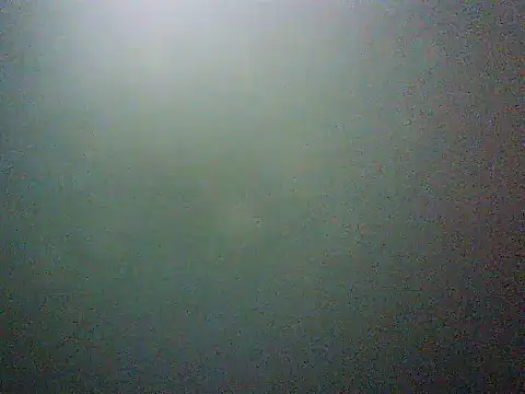 mumbi91 online show from March 11, 5:02 am