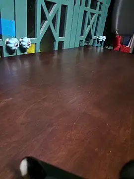 Snapshot of bigdickdaddy2184 chatting on December 16, 9:35 am bigdickdaddy2184 online show from December 16, 9:35 am