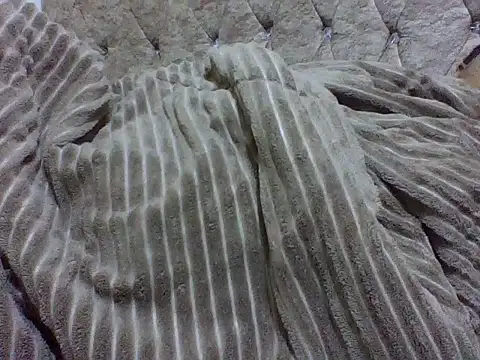 zoey10 online show from March 19, 11:54 am