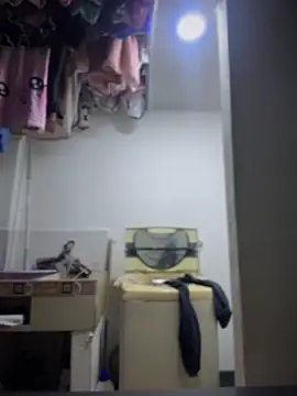 Emiily lee online show from April 1, 10:27 am