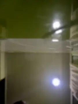 Emiily lee online show from April 14, 9:25 am