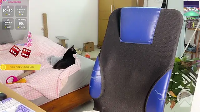 ashy 7999 online show from March 14, 12:44 pm