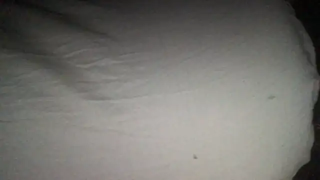 Snapshot of loveofbea chatting on September 11, 12:49 pm loveofbea online show from September 11, 12:49 pm