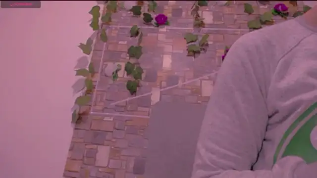 CrazyRousex online show from January 14, 2:20 pm