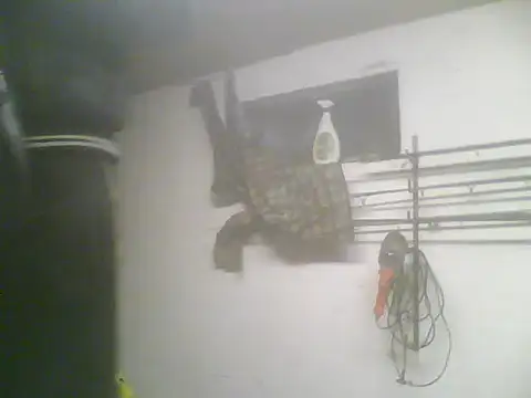 Snapshot of Rejtelmesest chatting on February 22, 5:24 pm Rejtelmesest online show from February 22, 5:24 pm