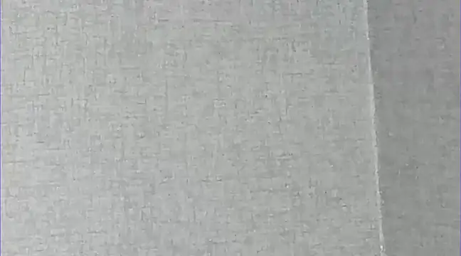 Ricardogo19 online show from March 1, 1:43 am