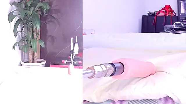 Sophia Lovers01 online show from March 2, 8:38 pm