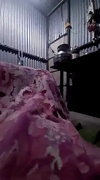 sandip-bhai online show from January 24, 7:49 pm