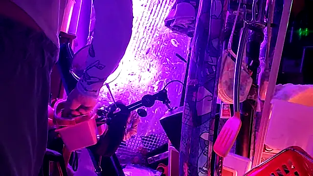 gurlnips online show from March 11, 12:04 am