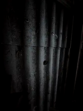 Qmaster69 online show from February 11, 3:23 pm