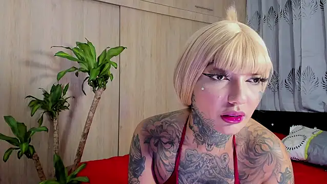 filletatouee online show from January 6, 5:11 am