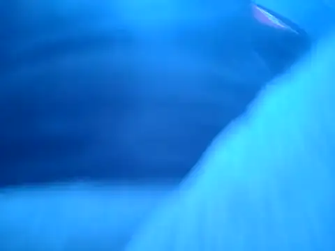 ILUV2TUCHMYKITTY online show from November 18, 6:55 pm