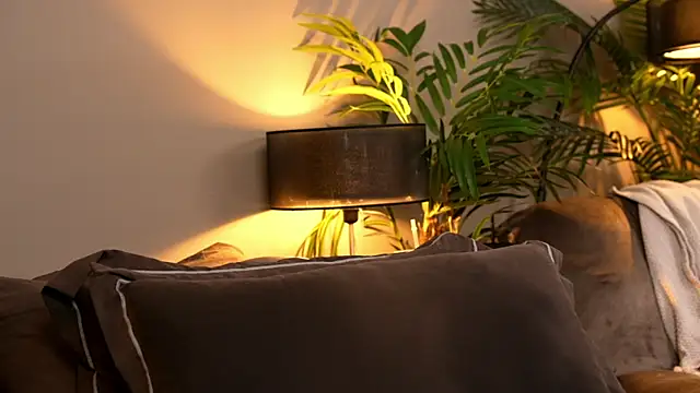  keeti  online show from January 11, 1:34 am