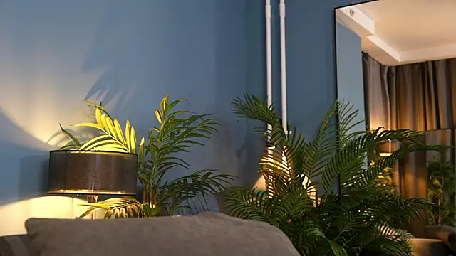  keeti  online show from November 7, 5:17 pm