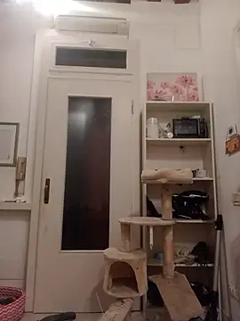 fattone95 online show from December 19, 8:55 pm