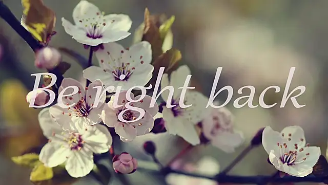 1lindsey1 online show from April 15, 8:53 am