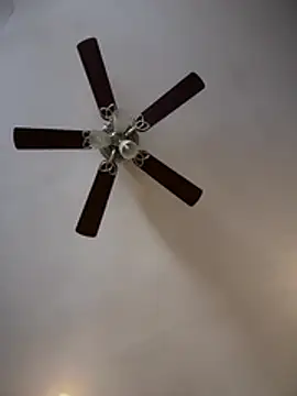 ThicBunz online show from February 9, 2:15 pm