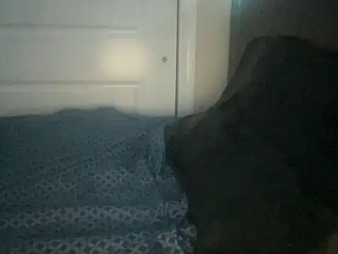 Snapshot of Bobbythehunk_ chatting on May 19, 6:31 am Bobbythehunk online show from May 19, 6:31 am