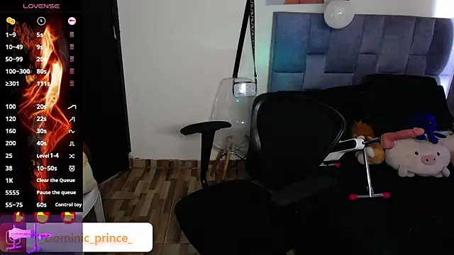 Snapshot of DominicPrince chatting on November 24, 7:03 pm DominicPrince online show from November 24, 7:03 pm