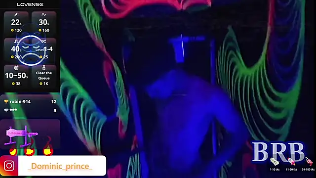 DominicPrince online show from January 13, 4:11 pm