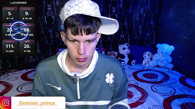 DominicPrince online show from February 26, 2:33 am