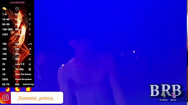 Snapshot of DominicPrince chatting on November 10, 12:10 pm DominicPrince online show from November 10, 12:10 pm