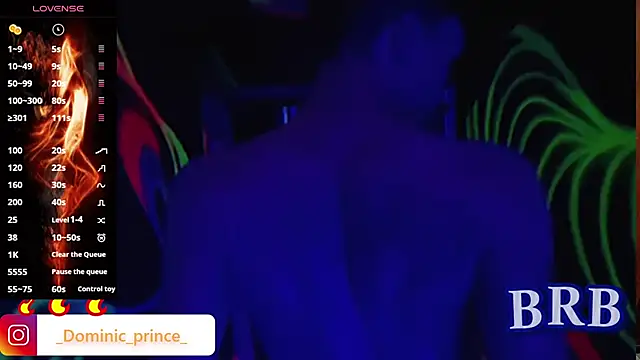 Snapshot of DominicPrince chatting on November 15, 3:21 am DominicPrince online show from November 15, 3:21 am