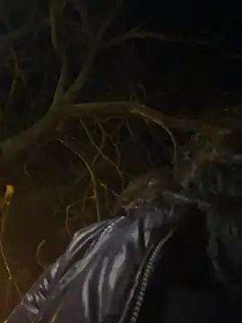 Ary art online show from March 17, 11:52 pm