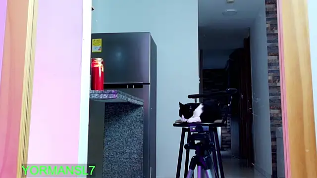 zaiin diesel online show from November 26, 11:43 am