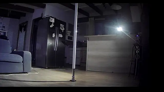 Snapshot of FLakiReve chatting on February 3, 10:15 pm FLakiReve online show from February 3, 10:15 pm