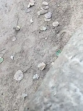 MAN MOHINI 21 online show from February 22, 9:44 am