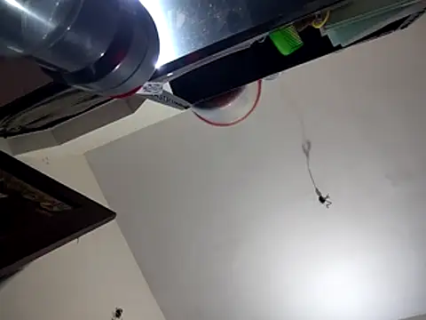 bigvorn6 online show from March 29, 6:26 am