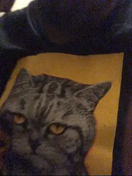 Jasontv56 online show from December 17, 2:05 am