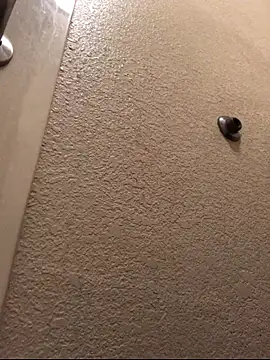 Jasontv56 online show from November 13, 12:31 pm