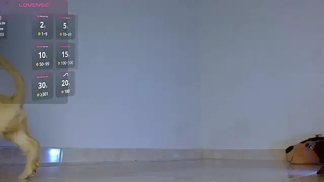 yulissa18 online show from November 30, 1:28 am