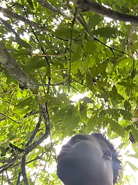 Andricastro online show from November 10, 1:49 pm