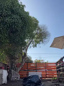 Andricastro online show from February 23, 1:42 pm