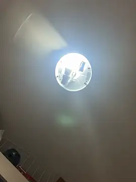 Snapshot of palomamoraid chatting on December 21, 10:40 pm palomamoraid online show from December 21, 10:40 pm