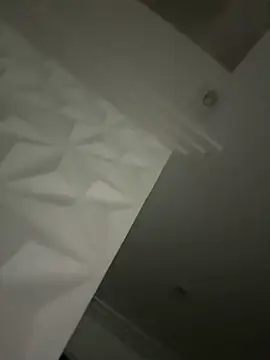 Snapshot of palomamoraid chatting on December 20, 2:19 am palomamoraid online show from December 20, 2:19 am