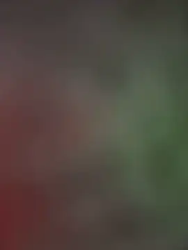 Snapshot of palomamoraid chatting on January 13, 4:51 pm palomamoraid online show from January 13, 4:51 pm