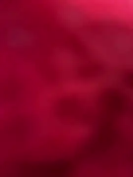 Snapshot of palomamoraid chatting on March 12, 10:50 pm palomamoraid online show from March 12, 10:50 pm